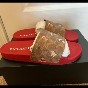 New-in-box Coach Udele Sport Slide, Cat Print, Size 9